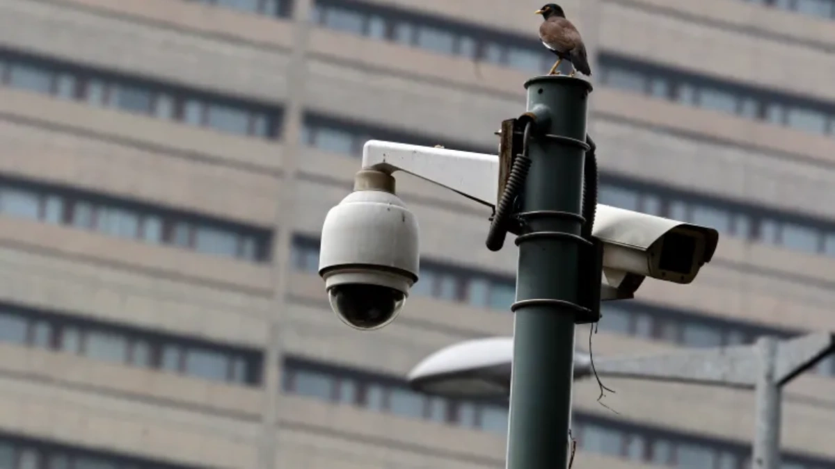 Guwahati Installs Infrared Cameras to Track Stray Animals