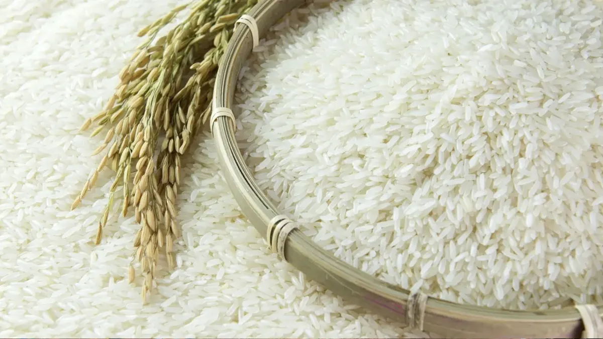 Assam Flags Off First Export of GI Joha Rice from Guwahati