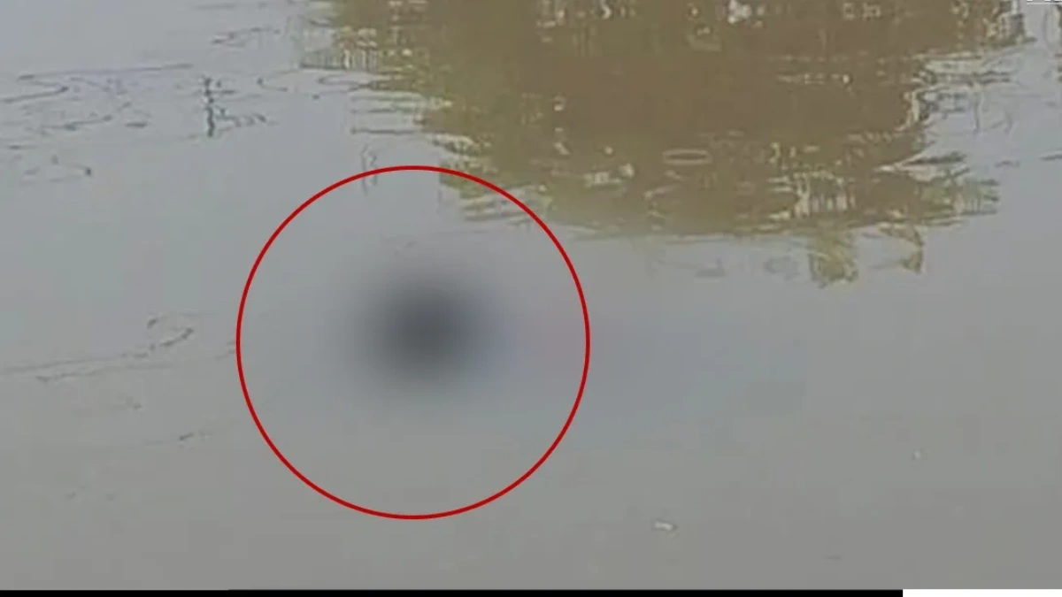 3 Bodies Recovered in Guwahati Rivers After Flooding, Probe Underway