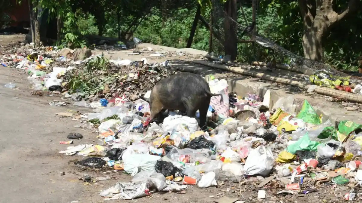 Assam Tightens Waste Management Enforcement as Guwahati Faces Growing Garbage Pressure