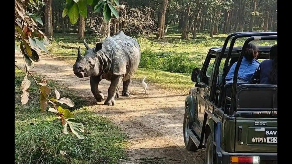 Pobitora Jeep Safari Near Guwahati to Close From May 25 Amid Monsoon Conditions